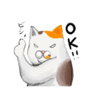 家ねこ（個別スタンプ：12）