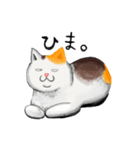 家ねこ（個別スタンプ：13）