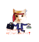 サラリーマンねこタン（個別スタンプ：1）