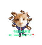 サラリーマンねこタン（個別スタンプ：2）
