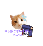 サラリーマンねこタン（個別スタンプ：4）