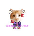 サラリーマンねこタン（個別スタンプ：7）