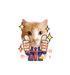 サラリーマンねこタン（個別スタンプ：8）