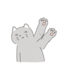 The cat is expressionless（個別スタンプ：9）