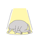 The cat is expressionless（個別スタンプ：23）