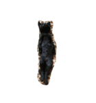 吾輩はねこである（個別スタンプ：1）
