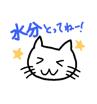 夏ネコ（個別スタンプ：12）