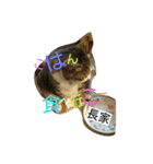 長家さん専用スタンプ（個別スタンプ：1）