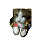 長家さん専用スタンプ（個別スタンプ：6）