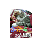 長家さん専用スタンプ（個別スタンプ：8）