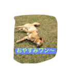 ほくとくんスタンプ（個別スタンプ：5）