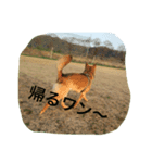 ほくとくんスタンプ（個別スタンプ：7）