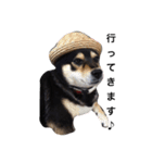 愛犬こりんちゃん（個別スタンプ：21）