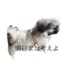 にくめん犬（個別スタンプ：4）