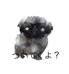 にくめん犬（個別スタンプ：5）