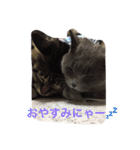 トラとくーにゃん（個別スタンプ：10）