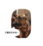 ラディックとジェフ（個別スタンプ：1）