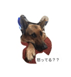 ラディックとジェフ（個別スタンプ：2）