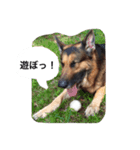 ラディックとジェフ（個別スタンプ：4）