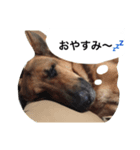 ラディックとジェフ（個別スタンプ：5）