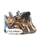 ラディックとジェフ（個別スタンプ：7）