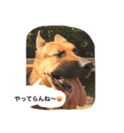 ラディックとジェフ（個別スタンプ：8）