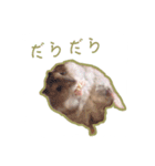 スチュ＆きみ ハムハム's（個別スタンプ：3）