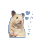 スチュ＆きみ ハムハム's（個別スタンプ：4）