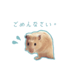 スチュ＆きみ ハムハム's（個別スタンプ：10）