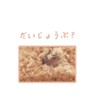 スチュ＆きみ ハムハム's（個別スタンプ：13）