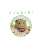 スチュ＆きみ ハムハム's（個別スタンプ：14）
