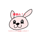 うさぴょんが応援してるよ！（個別スタンプ：8）