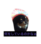 happy0101（個別スタンプ：8）