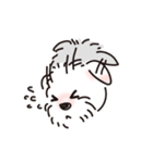 Eason DOG（個別スタンプ：19）