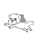 Eason DOG（個別スタンプ：23）