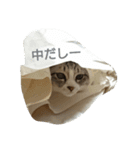 鈴ねこ2（個別スタンプ：1）