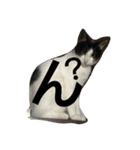 鈴ねこ2（個別スタンプ：3）