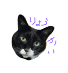 ぺちゃん1（個別スタンプ：1）