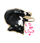 ぺちゃん1（個別スタンプ：4）