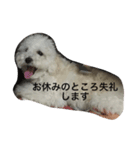 チャム先輩（個別スタンプ：8）