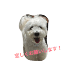 チャム先輩（個別スタンプ：10）