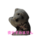 チャム先輩（個別スタンプ：13）