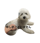 チャム先輩（個別スタンプ：14）