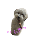 チャム先輩（個別スタンプ：20）