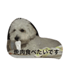 チャム先輩（個別スタンプ：29）