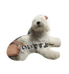 チャム先輩（個別スタンプ：32）