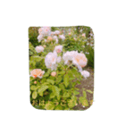 薔薇と一緒に（個別スタンプ：2）