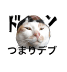 ハナテン（個別スタンプ：3）
