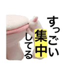 ハナテン（個別スタンプ：6）