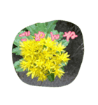 お花（個別スタンプ：4）